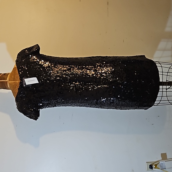 Sequins anyone?   Darling NWT Banana Republic size 4 dress - Picture 9 of 13